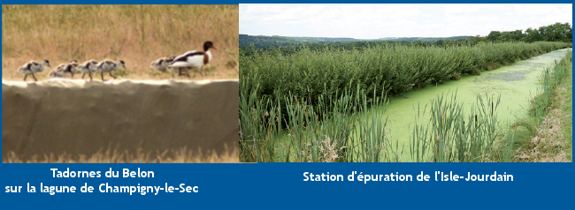 Partenariat avec la Ligue pour la Protection des Oiseaux