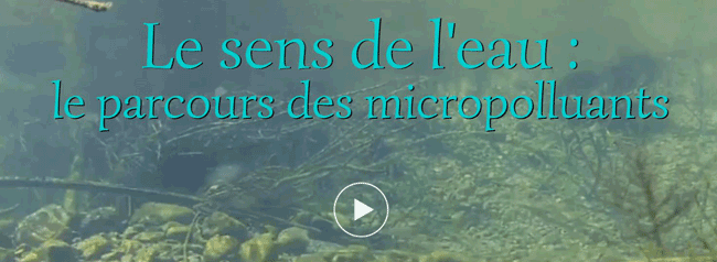 Le parcours des micropolluants dans l’eau